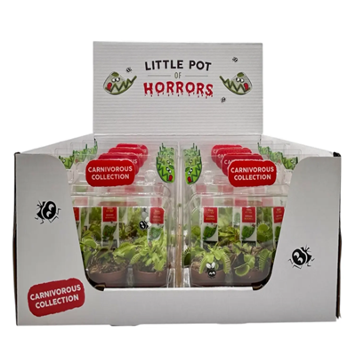 2" Carnivorous Collection (Pack of 10)